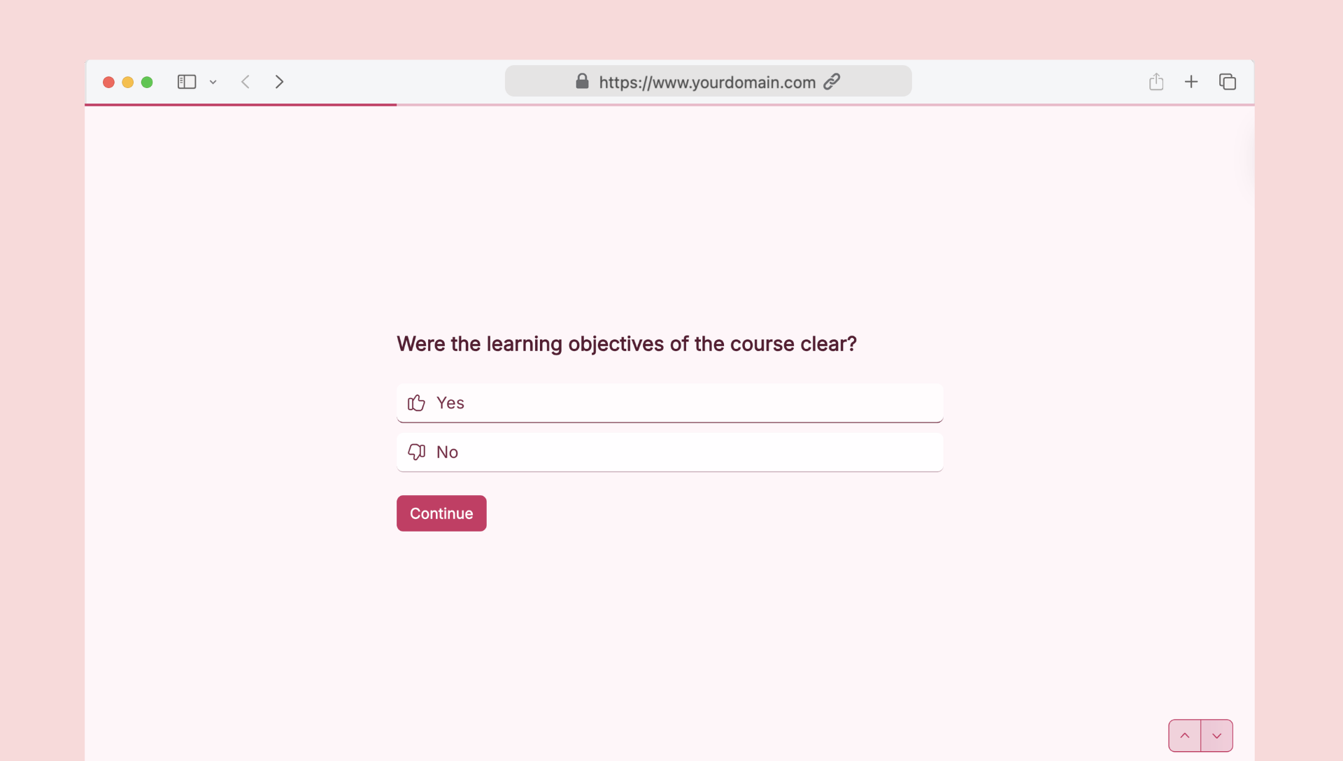 Student feedback survey