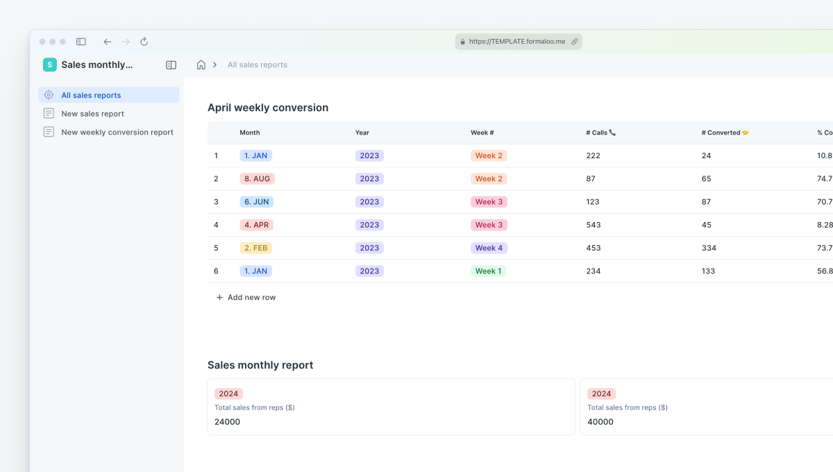 Sales monthly report