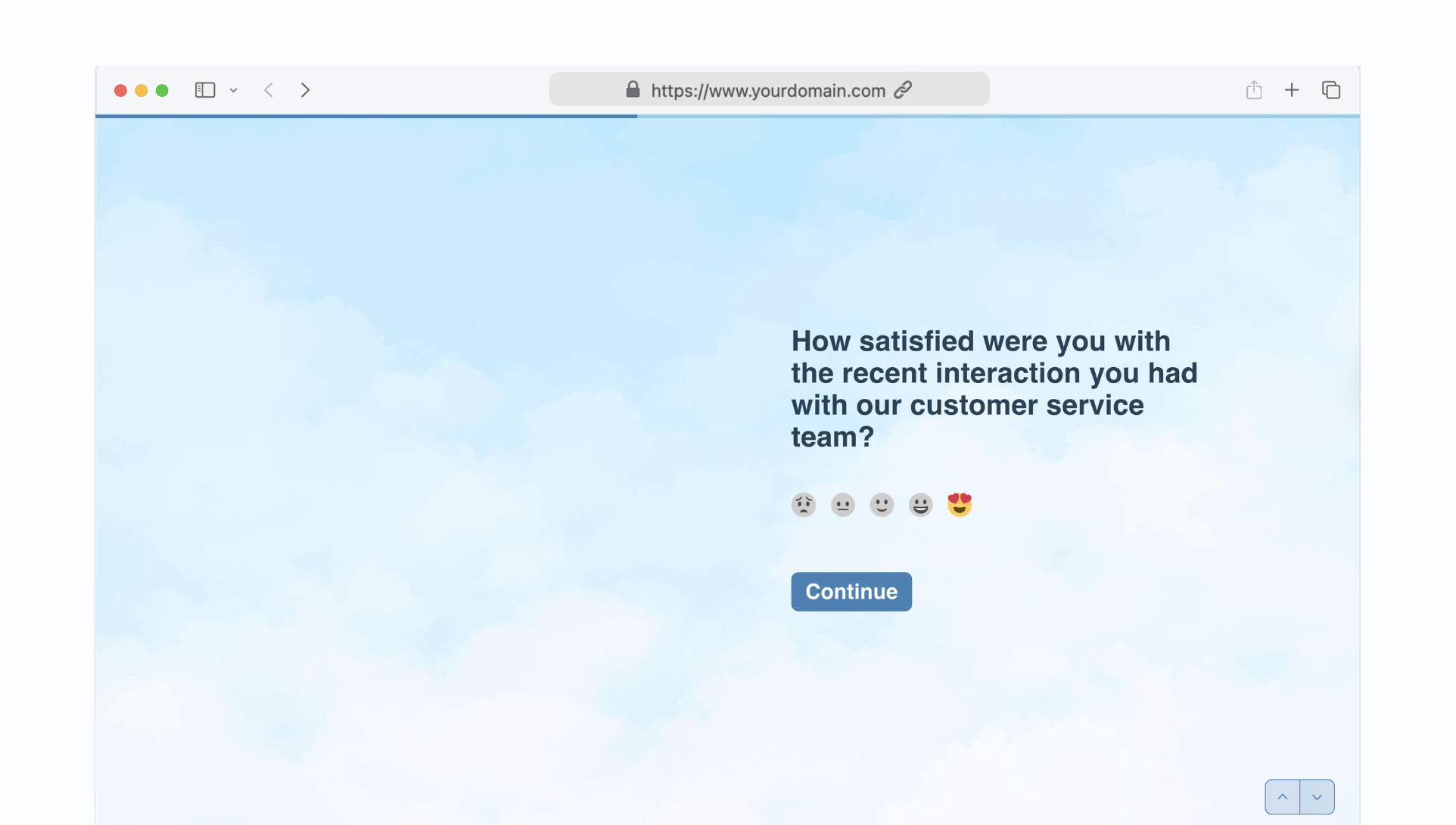 Customer engagement survey (CES)