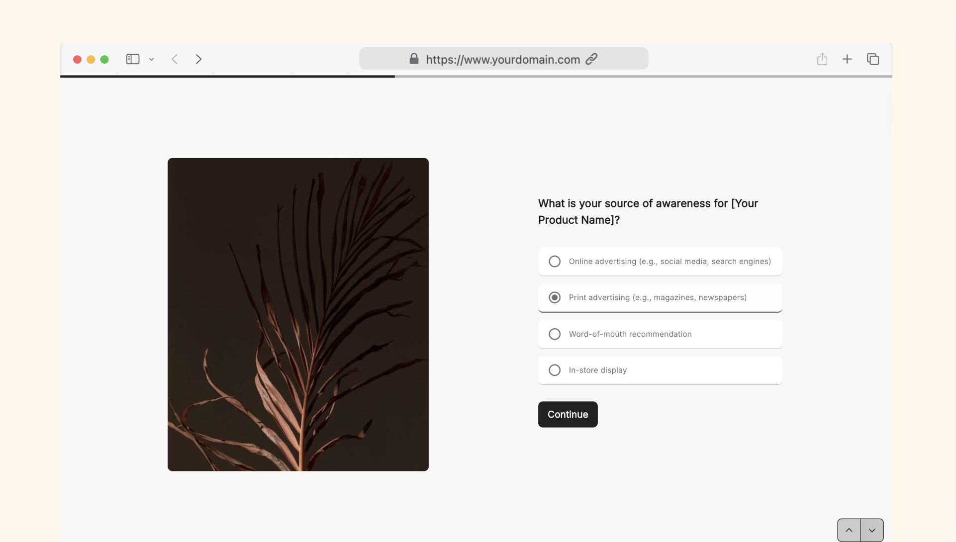 Product awareness survey