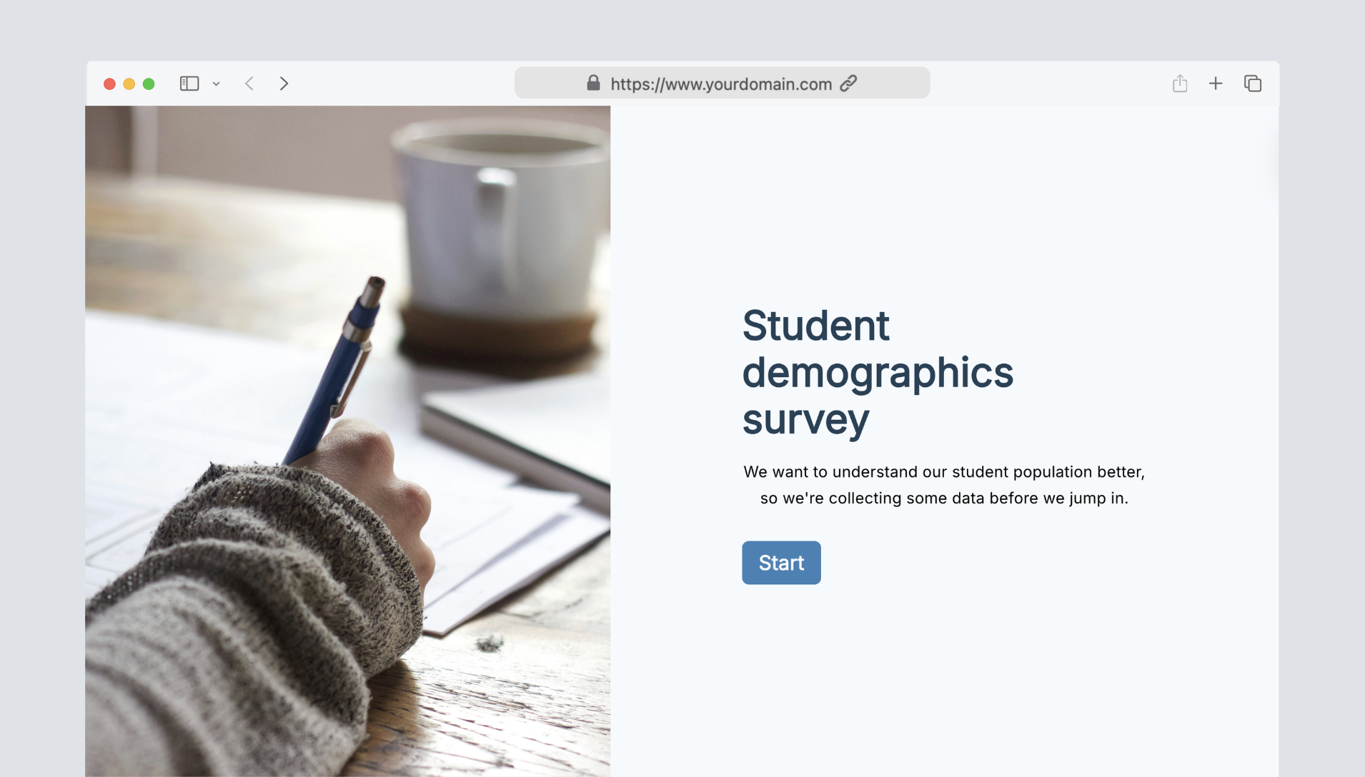 Student demographics survey