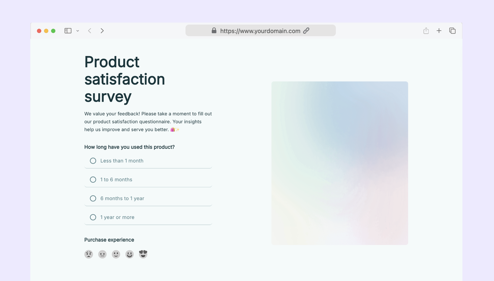 Product satisfaction questionnaire