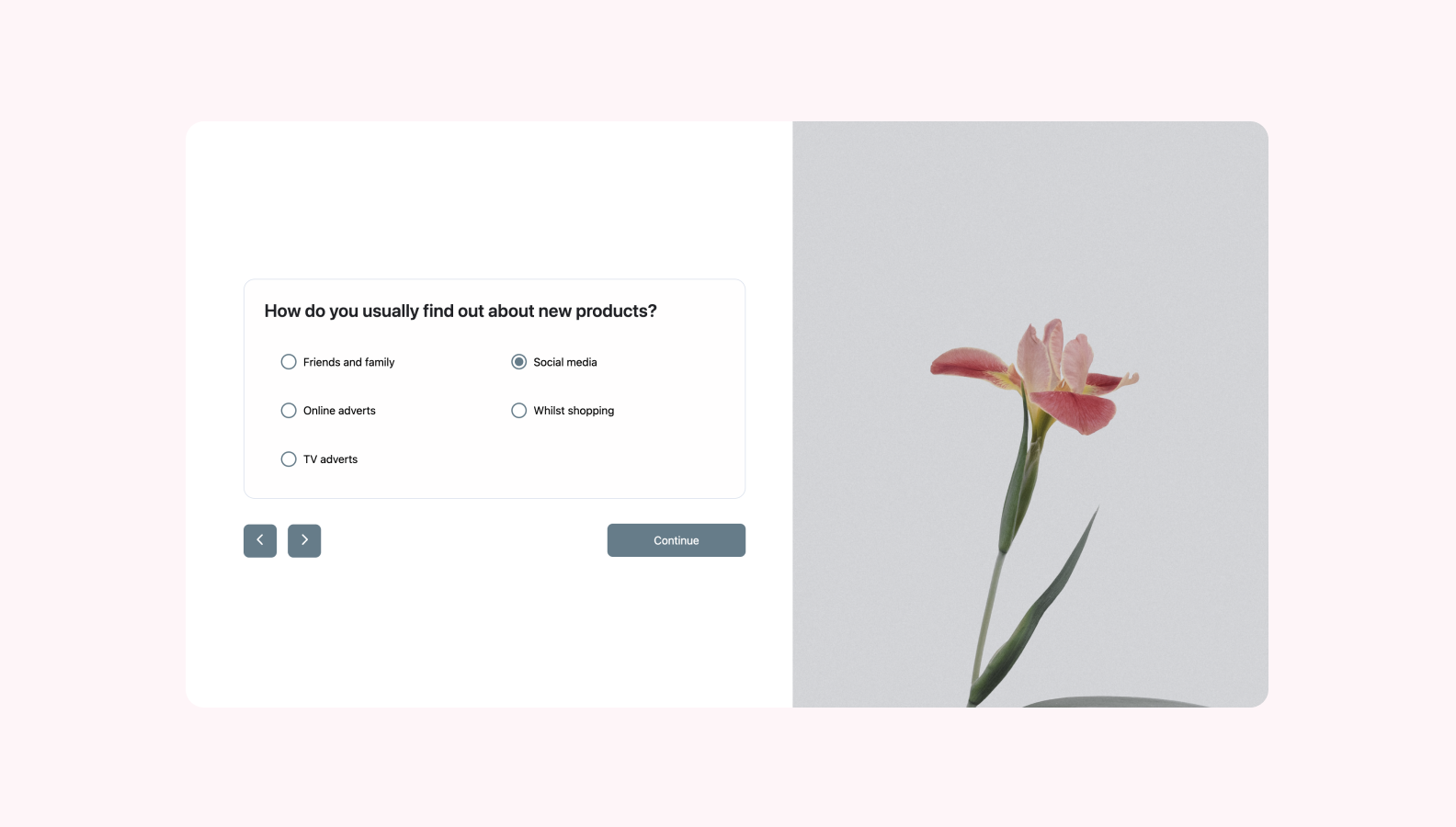 Path to purchase survey