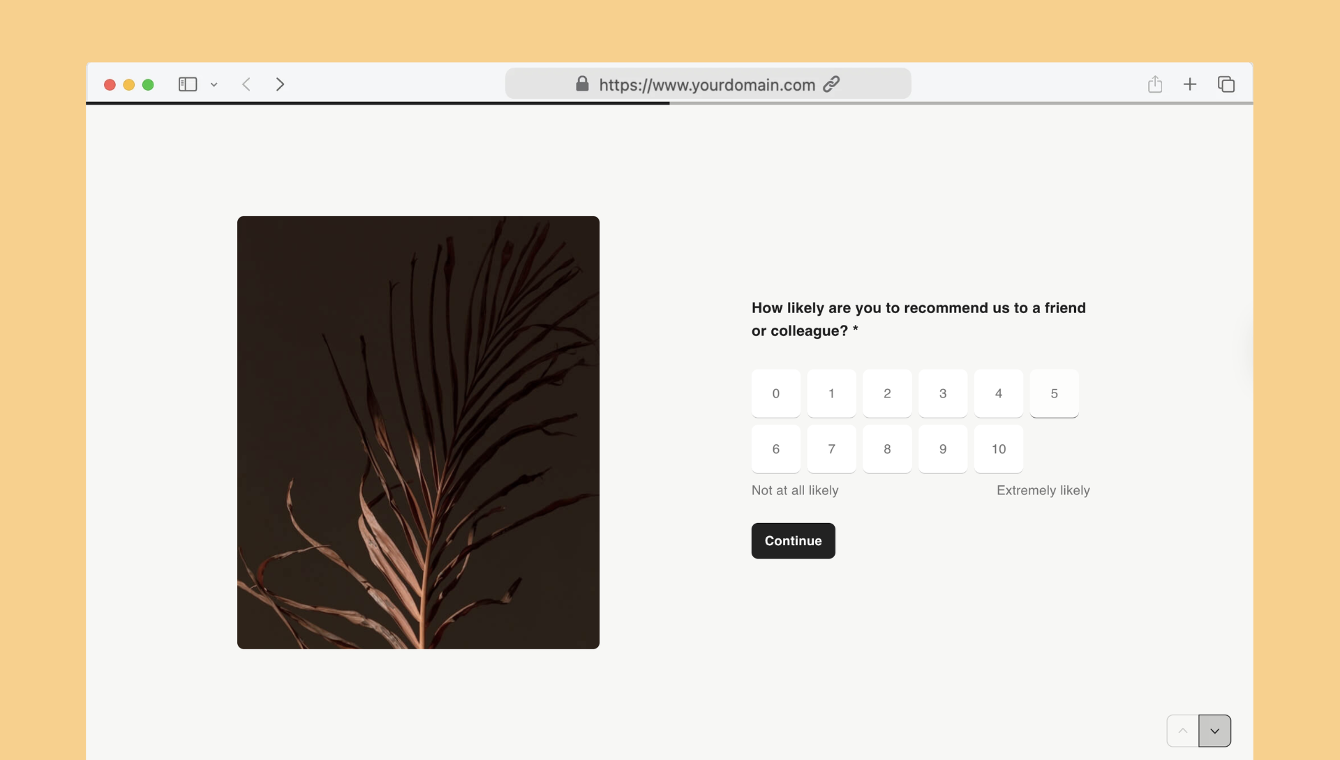 Net promoter score (NPS) template