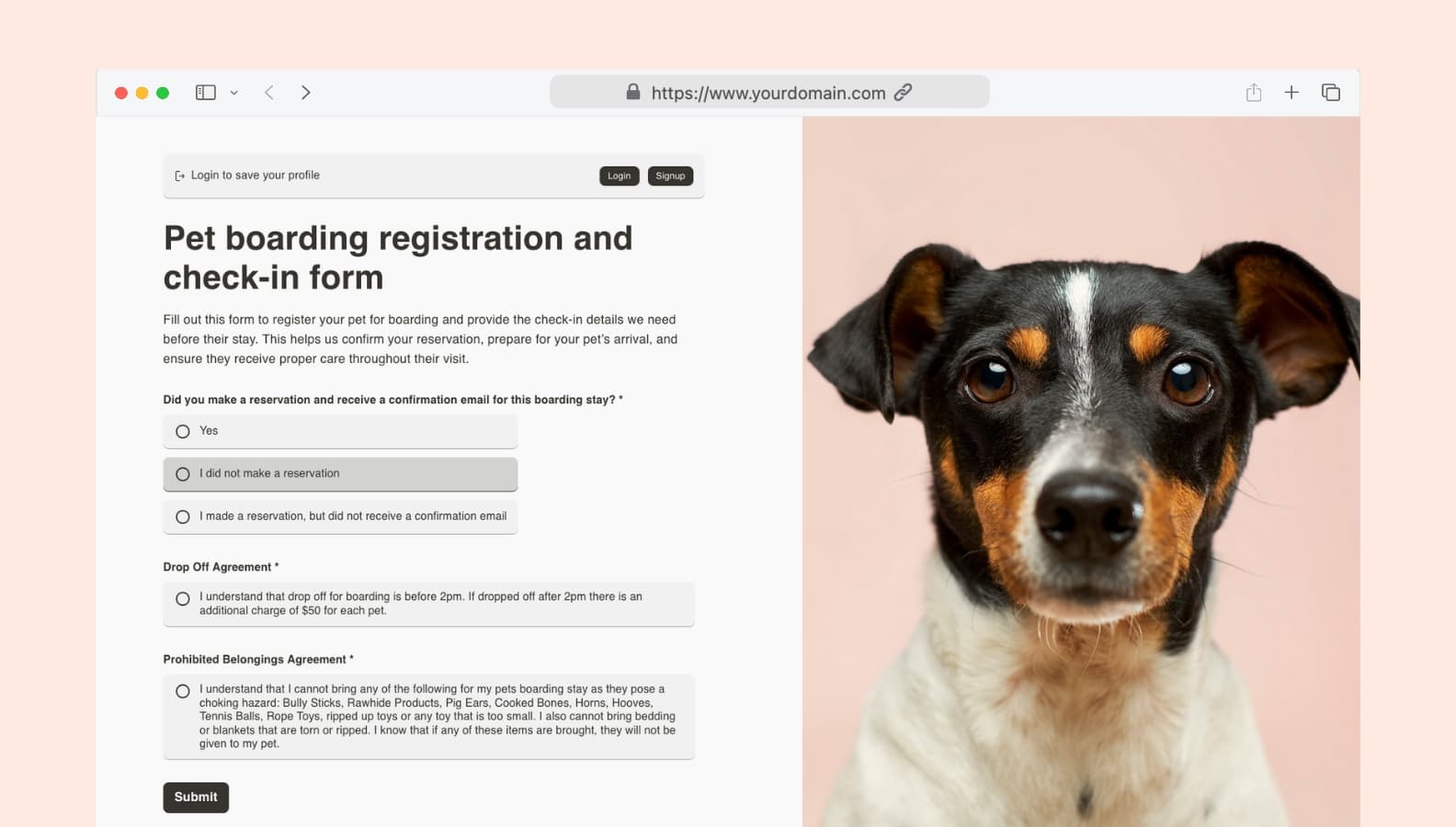 Pet boarding registration and check-in form